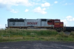 BNSF 8283